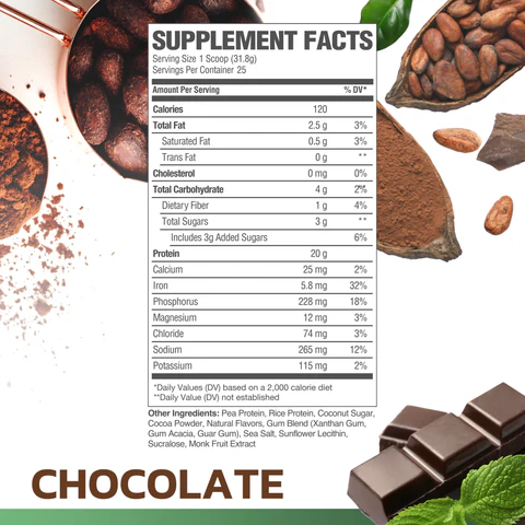 CHOCOLATE_VEGAN_PROTEIN_480x480
