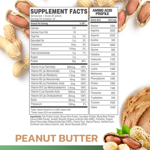 PEANUT_BUTTER_VEGAN_PROTEIN_480x480